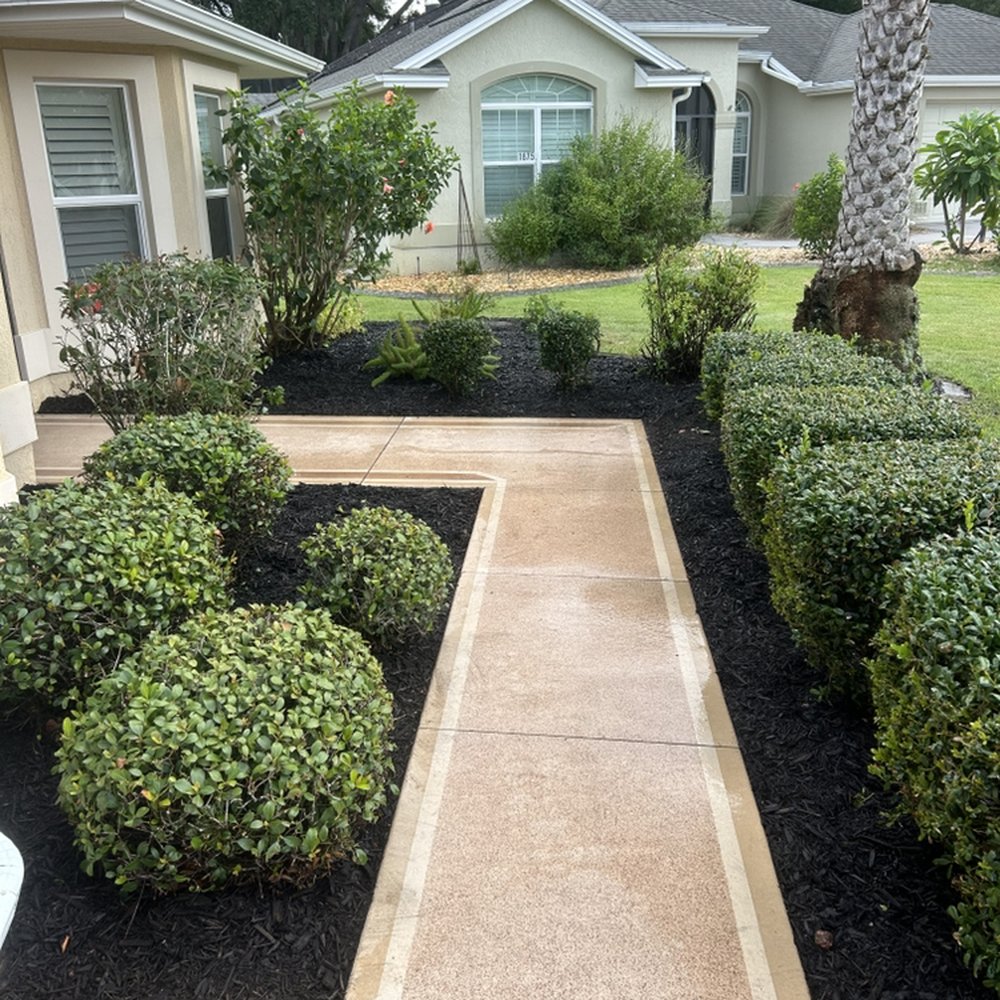 Landscaped walkway leading to a residential home, showcasing professional landscaping and curb appeal in Summerfield, NC.
