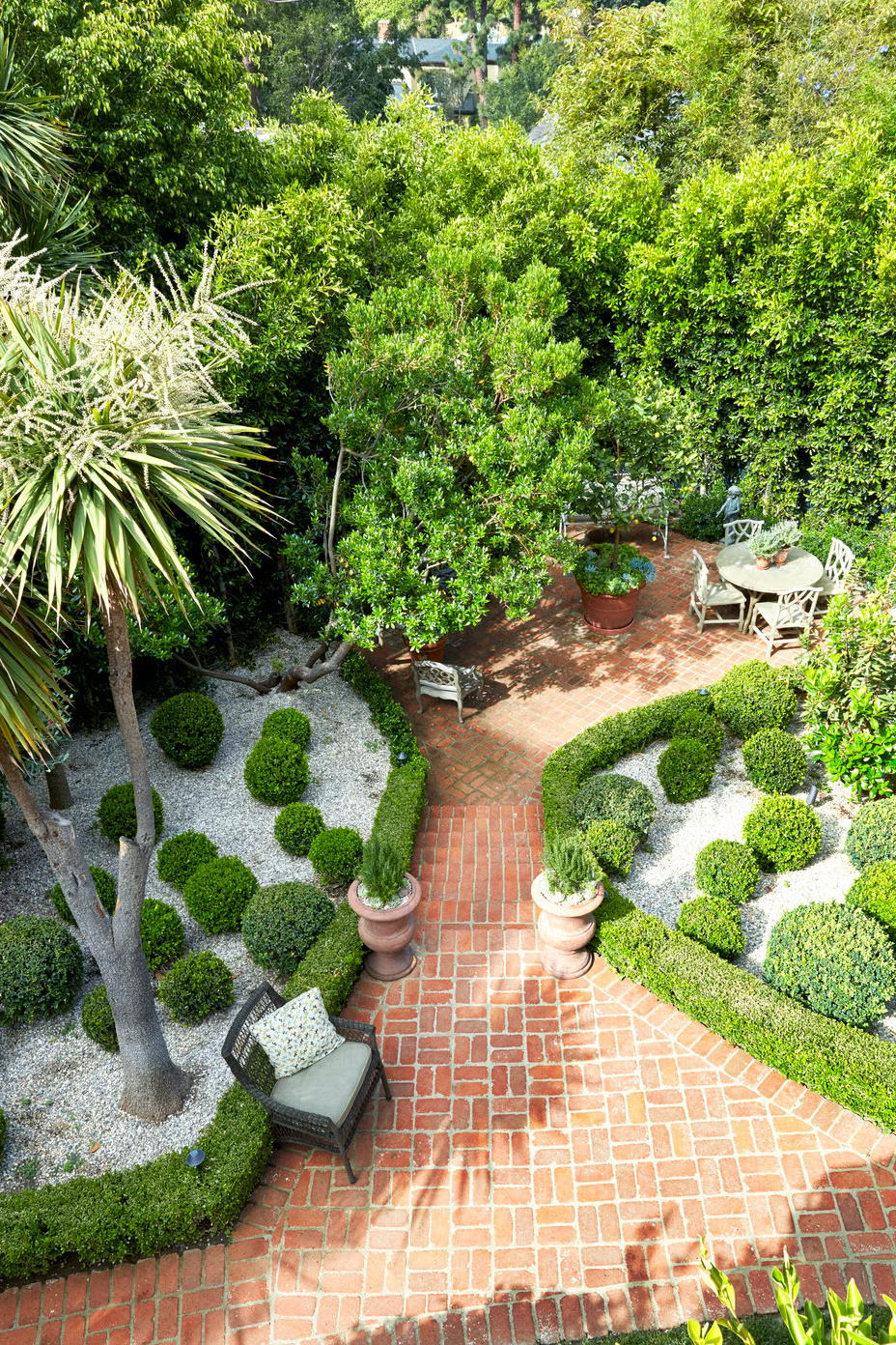 Palm tree landscaping in Kernersville, NC with lush green fronds and a clear blue sky