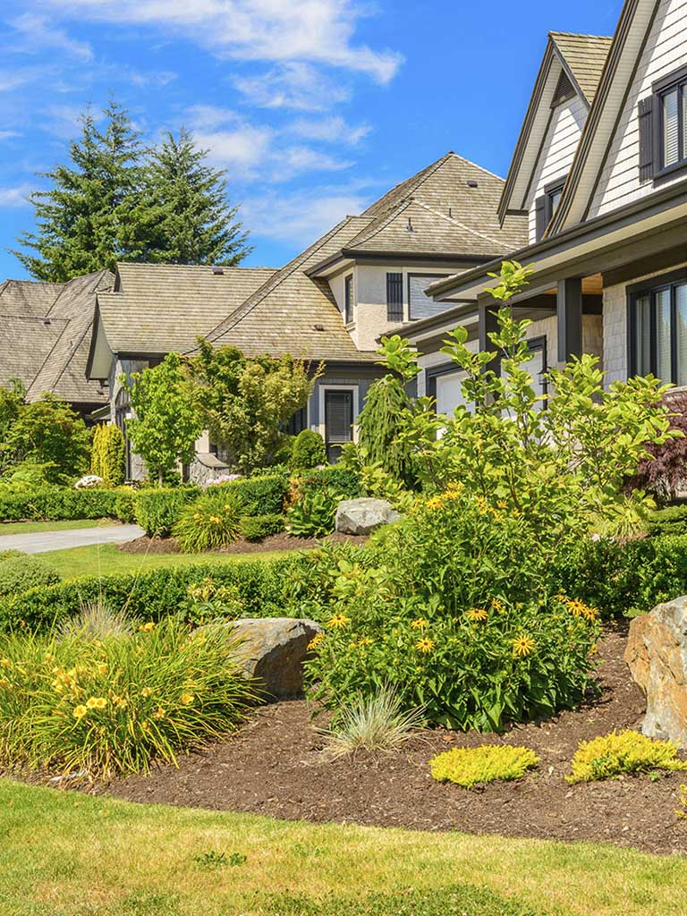 Summerfield, NC landscaping with a well-maintained home, vibrant shrubs, and professionally designed outdoor greenery