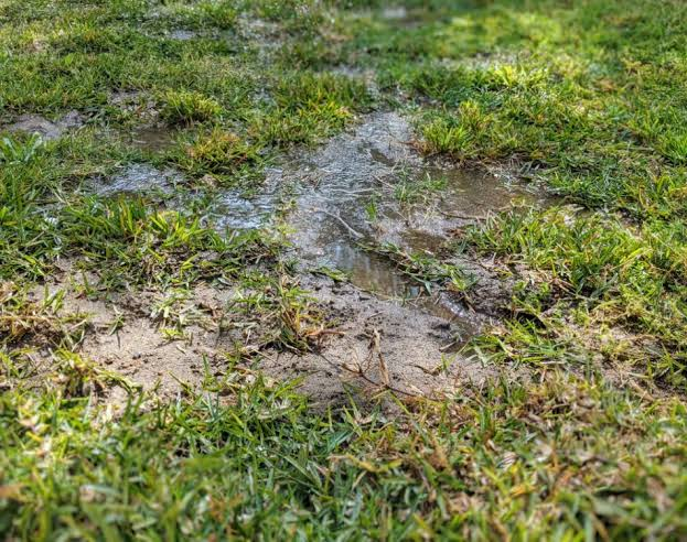 Muddy property with standing water showing poor drainage and soil conditions